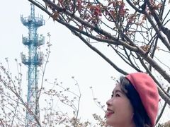 -高东镇樱花园