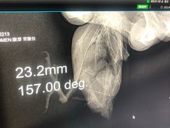 -瑞派·关忠动物医院·异宠专科·犬猫肿瘤·皮肤专科(望京店)