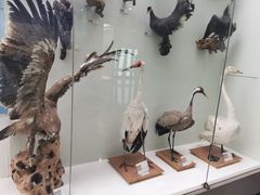 -国家自然博物馆