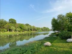 -洪湖悦兮半岛国际温泉度假村