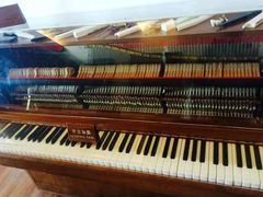 android_upload_pic-鼓浪屿钢琴博物馆