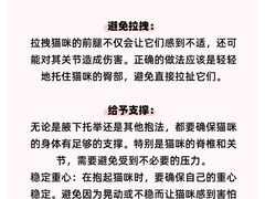 -翊宠yipet猫狗购宠庄园犬舍•猫舍