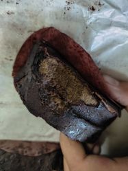 -奇幻丛林(佛罗伦萨小镇店)