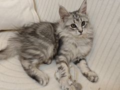 -宁波杉井奥特莱斯广场