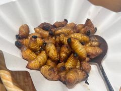 -香山家宴