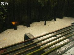 窗外的竹竿很漂亮，风景很安静-上海艾本精品酒店
