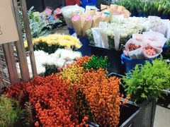 -三圣花乡旅游区