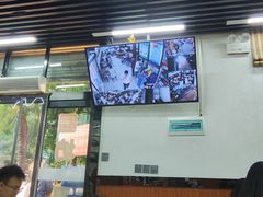 -回坊马二饺子馆