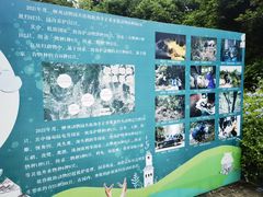 -柳州市动物园