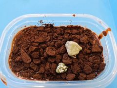 奥利奥红豆巧克力刨冰-梁子刨冰王&梁小糖(王顶堤店)