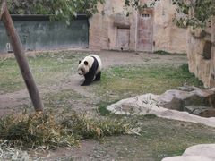 -上海野生动物园