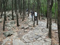 -云龙山