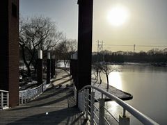 -石家庄市植物园