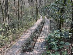 -杭州半山国家森林公园