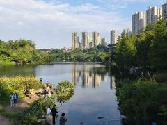 -重庆彩云湖湿地公园