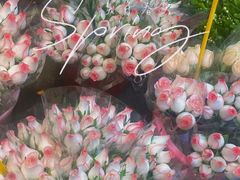 -循礼门鲜花花市(武汉循礼门店)