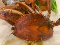 -友强·23年特色海鲜大排档(厦门店)