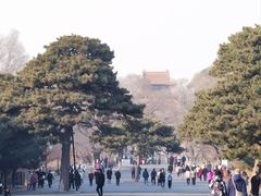 -北陵公园