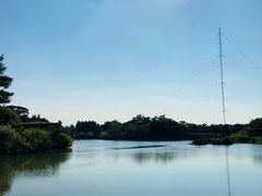 -福田红树林生态公园
