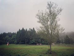 -武陵山森林公园