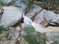 景点-火炉山森林公园