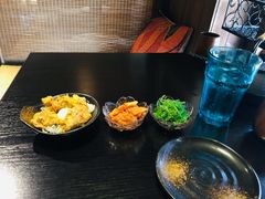 -春草居酒屋·晴子の店