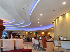 -新加坡航空公司(ION)