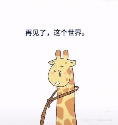 -禾曼造型