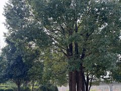 -白鹭湾湿地公园