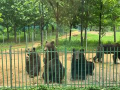 -秦皇岛野生动物园