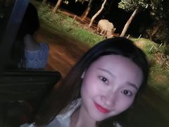 -清迈夜间动物园
