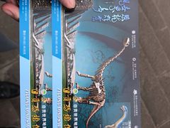 -自贡恐龙博物馆