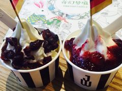 -JW德国冻酸奶Frozen Yogurt(龙湖成都滨江天街店)