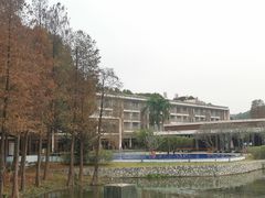 -白云湖畔酒店-湖畔餐厅