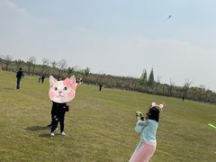 -上海海湾国家森林公园