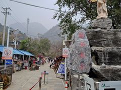 -大岭沟猕猴桃谷风景区