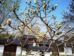 -堤角公园