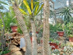 -国家植物园南园