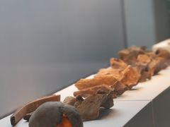 -安阳博物馆