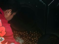 -秋栗香(地安门店)