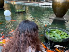 -三亚湾海居铂尔曼度假酒店