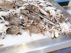 -盒马鲜生(联投广场店)