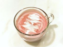 -伊斯坦布尔土耳其清真咖啡餐厅