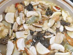 -野菌皇海景野生菌火锅(滨海大道店)