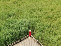 -野鸭湖国家湿地公园