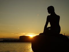 -美人鱼