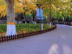 -康庄公园