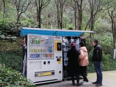 -重庆彩云湖湿地公园