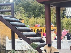 -杭州野生动物世界