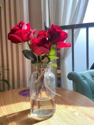 -禾壹净·素颜美问题肌肤修护中心